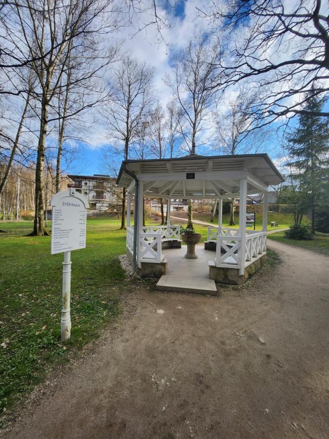Апартаменты Slatina Франтишкови-Лазне Экстерьер фото